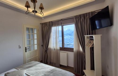 Metsovo Apartment | Αγνάντι
