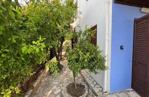 Pano Lefkara House | Αετοφωλιά-AETOFOLIA