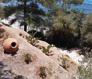 Plomari House | Δωμάτια Κόκκινος Πύργος