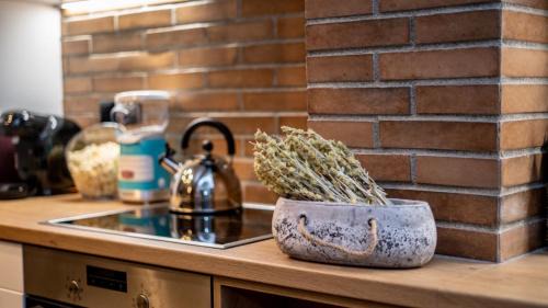 Ioannina Apartment | Εν Ιωαννίνοις Loft 1