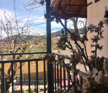 Lamia House | ΕΞΟΧΙΚΟ ΜΑΡΙΑ