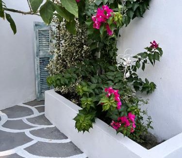 Agia House | Ευχάριστο εξοχικό σπίτι!
