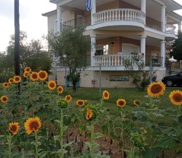 Aridaia Apartment | Η Αυλή