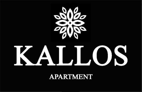 Metsovo Apartment | Κάλλος-Kallos Apartment