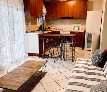 Pogoni Apartment | Μικρή Εξοχή