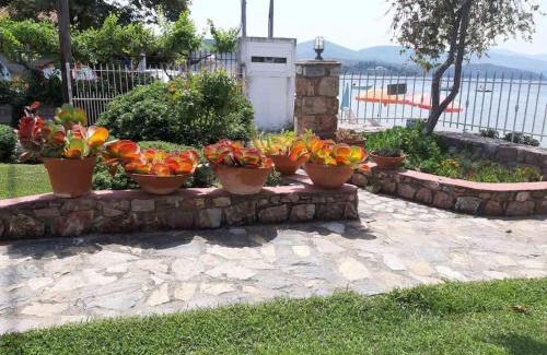 Agiokampos Apartment | Παραθαλάσσιο διαμέρισμα με κήπο στον Αγιόκαμπο