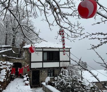 Krikellon House | ΤΟ ΑΡΧΟΝΤΙΚΟ