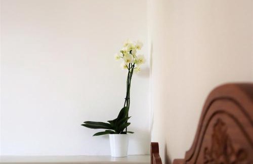 Kithnos Hotel | ΤΟ ΚΑΜΙΝΙ ΤΟΥ ΜΗΛΑ