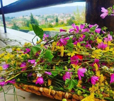 Vilia Apartment | Το ραχατι