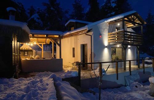 Tanagra Ski Chalet | Το σπίτι στο δάσος