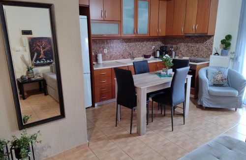 Leptokaria Apartment | Όμορφο διαμέρισμα σε μονοκατοικία στη Λεπτοκαρυα.