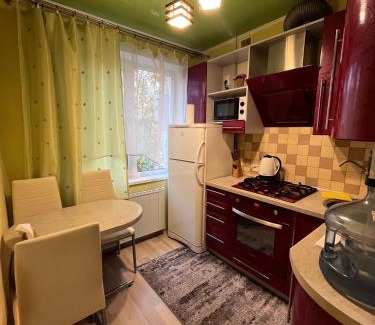 Krivoy Rog Apartment | Апартаменти, вул Космонавтів,29, великий Смарт TV , преміум підписки YouTube та онлайн-кінотеатрів, ЗВІТНІ ДОКУМЕНТИ