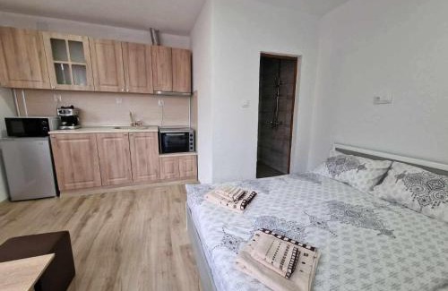 Banya Apartment | Апартаменти село Баня