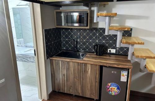 Dushanbe Apartment | Апартаменты рядом с Hilton