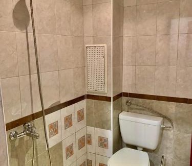 Lukovit Apartment | Апартамент Горски кът