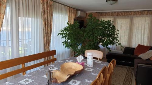 Dobrovelychkivka House | Будинок на воді