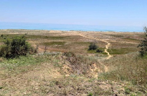 Shkorpilovtsi Other | Бунгала, Металик, Шкорпиловци