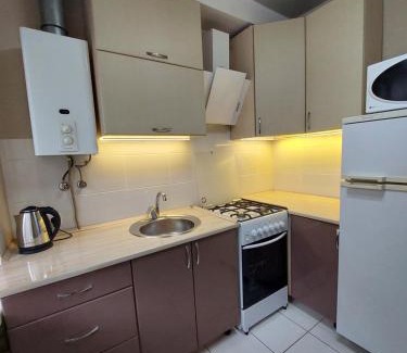 Babushkins'kyi district Apartment | Домашняя обстановка в квартире на Пр Гагарина 92