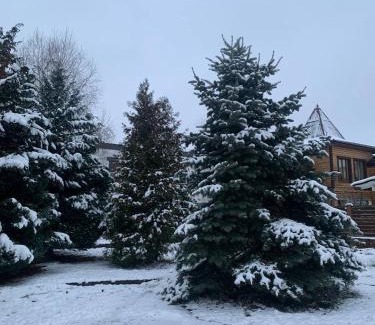 Uman Apartment | Елітний будинок в місті Умань