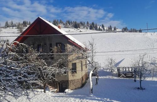 Soymy House | Затишна оселя