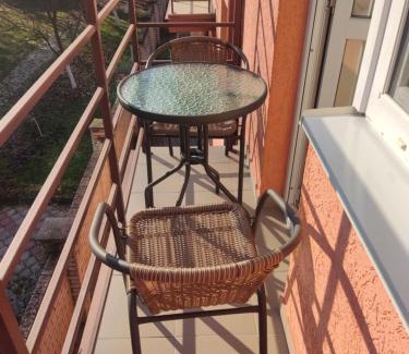 Polyana Apartment | Золота Поляна
