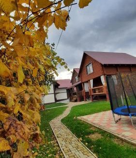 Polyana House | "Карпатський краєвид"
