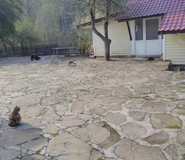 Subotkovtsi Villa | Кацарила