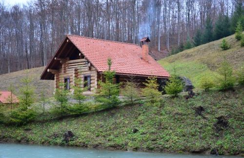 Transcarpathia House | Комплекс СКАЛА