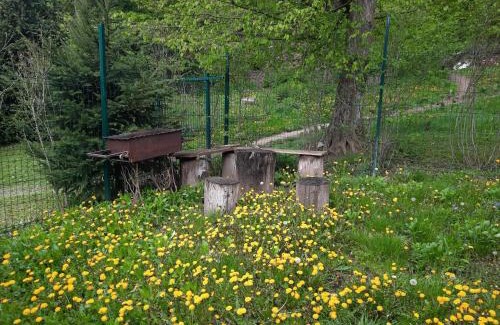 Karpaty Cabin | Комфортный