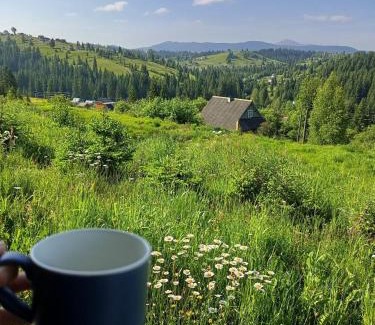 Palyanytsya House | Котеджі Зоряне Небо