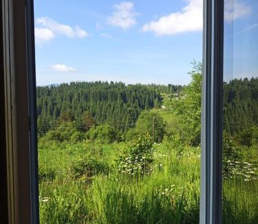 Palyanytsya House | Котеджі Зоряне Небо