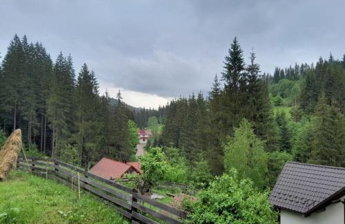 Palyanytsya Cabin | Котеджі "У Яни"
