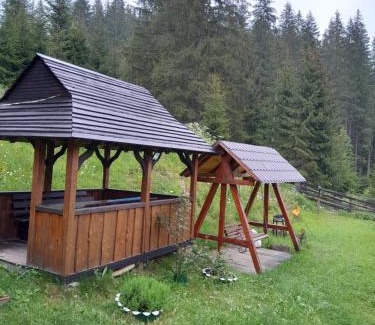 Palyanytsya Cabin | Котеджі "У Яни"