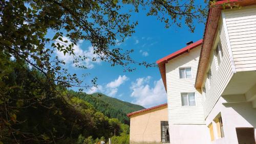 Banite House | Къща за гости ДАП Баните