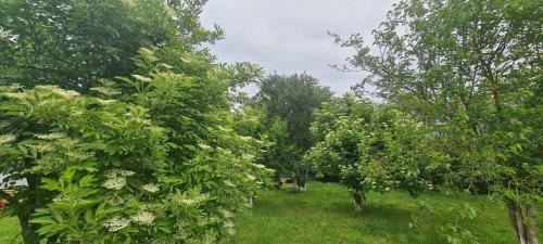 Kotel House | Къща за гости Светулките Fireflies Guest House