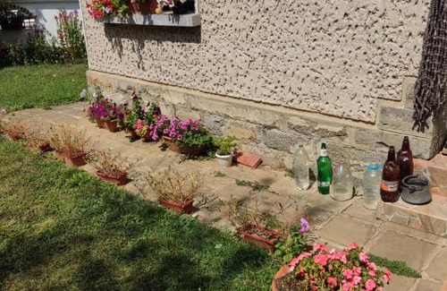 Beli Osum House | къща за гости Хайк