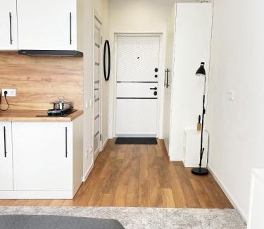 Svyatoshyns'kyi District Apartment | Люкс апартаменти в затишному ЖК бізнес класу
