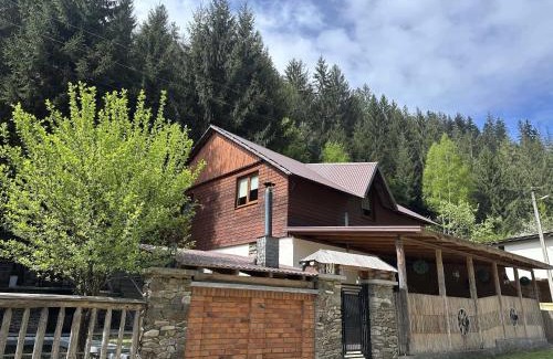 Soymy Ski Chalet | Лісова Хатина-ЧАН
