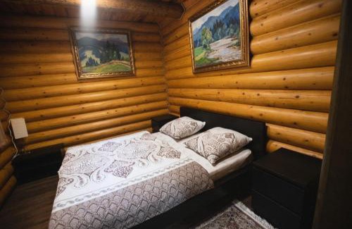 Transcarpathia Apartment | Молода Вовчиця