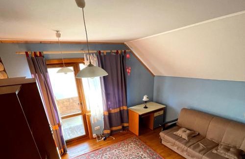 Palyanytsya House | На Полумистому