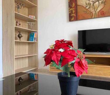 Haifa Apartment | Прекрасная квартира на берегу Средиземного моря