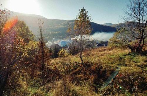 Transcarpathia Bed & Breakfast | Приватна садиба Дикий Мед