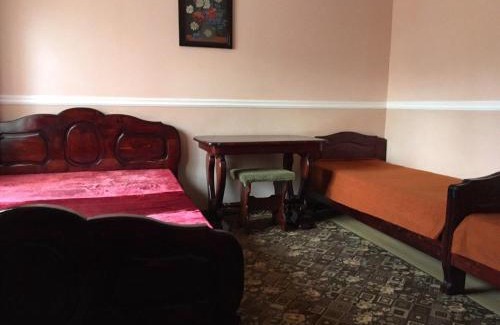 Vorokhta Apartment | Приватна Садиба VINEMAX