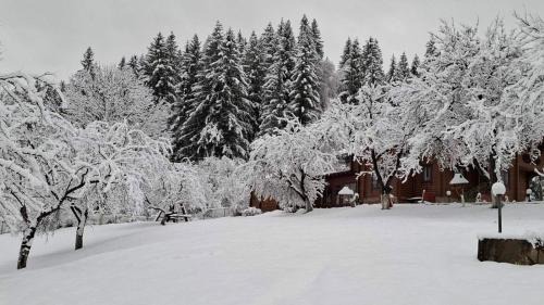 Snidavka House | Райський куточок
