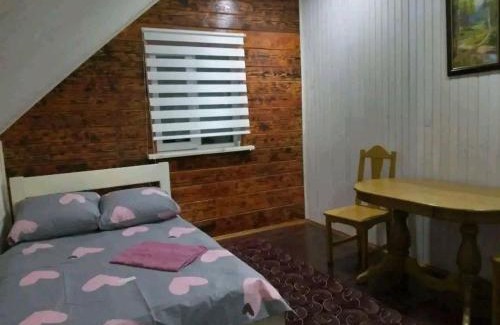 Vorokhta House | Садиба 'Віраж'