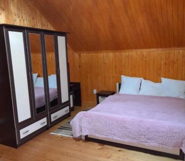 Serednye House | соколів камінь