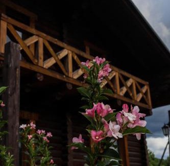 Dubyna Ski Chalet | сottage "Ksenija" котедж "Ксенія"