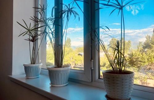 Issyk-Kul Region Bed & Breakfast | У Тимура