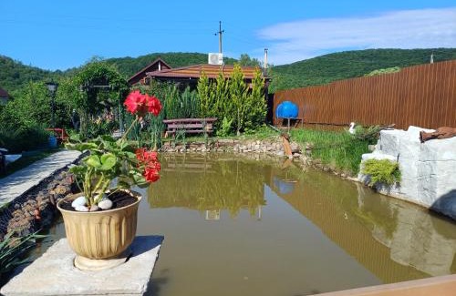 Chynadievo House | У Фёдера и Маргариты