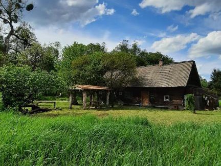 Brest Region House | Хата на болоте в пуще